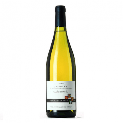 bottiglia costa del vento vigneti massa